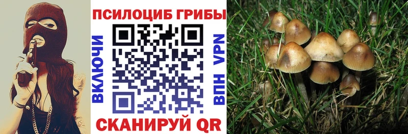Псилоцибиновые грибы мухоморы  цены наркотик  Якутск 